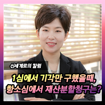 항소심에서 반소를 제기할 수 있는지, 재산분할 청구 할 수 있는지 여부 이미지