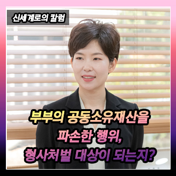 의뢰인과 배우자가 공동으로 소유하는 물건을 파손한 행위가 형사처벌 대상이 되는지? 이미지