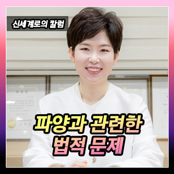 파양과 관련한 법적 문제 이미지