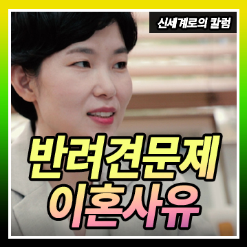 반려견의 죽음에 공감하지 못하는 배우자의 태도를 이혼 사유로 삼을 수 있나요?