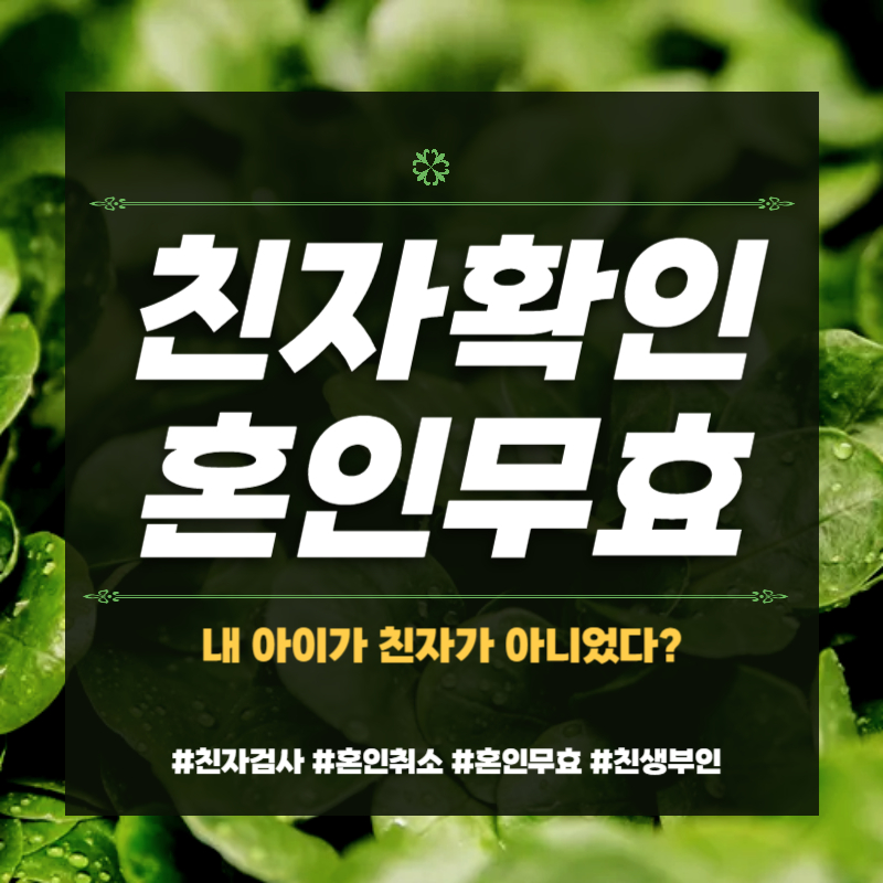 내아이가 친자가 아니다, 혼인무효?